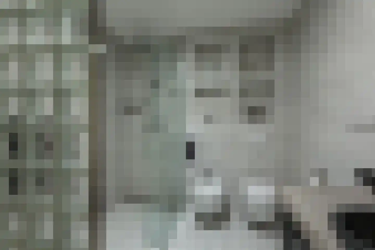 het Bivank 31 Nieuw Heeten thumbnail 17