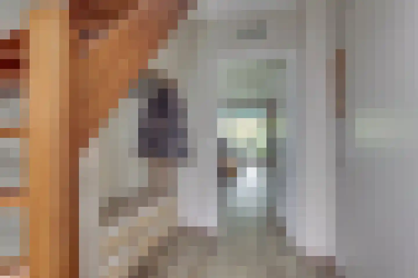 het Bivank 31 Nieuw Heeten thumbnail 19