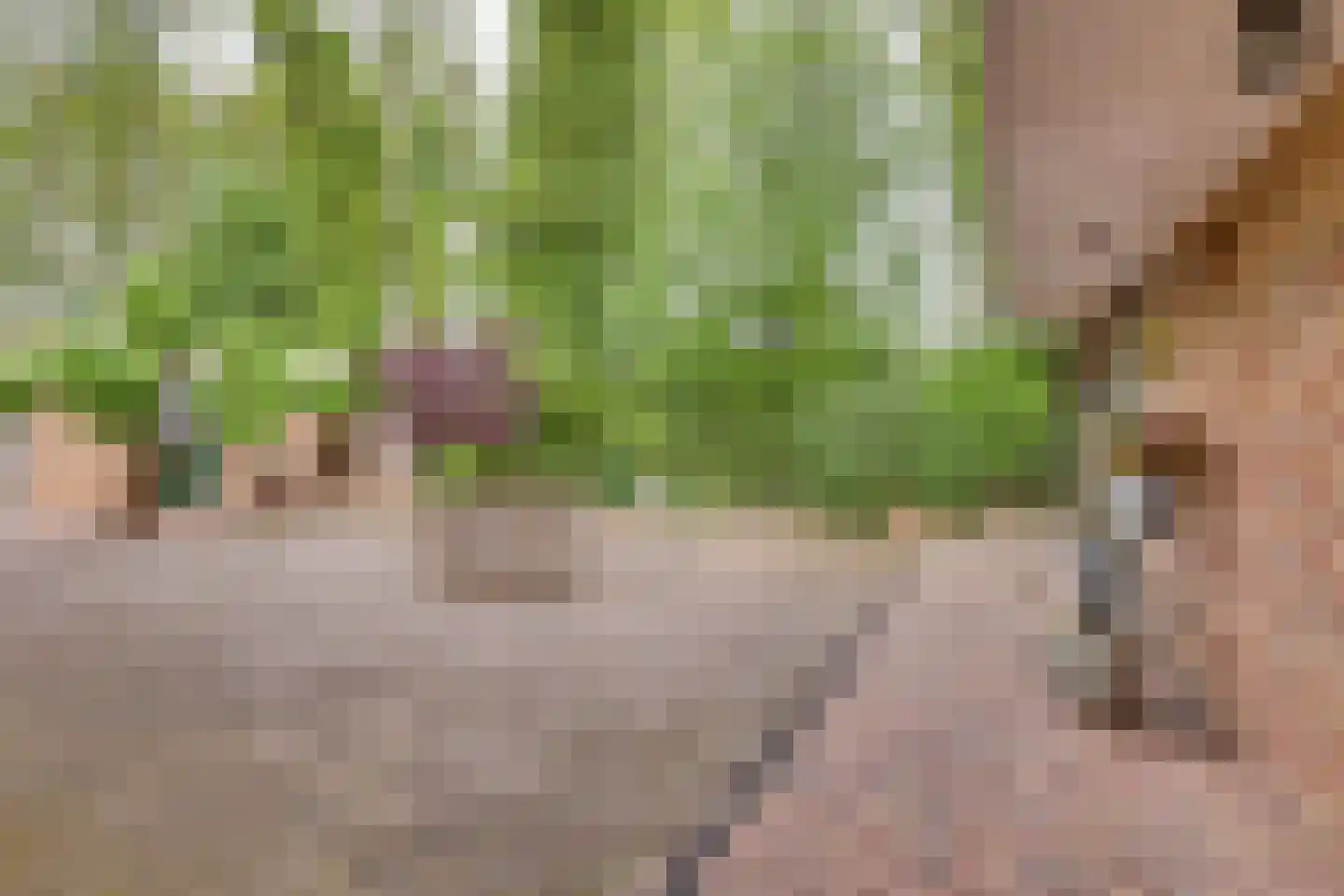 het Bivank 31 Nieuw Heeten thumbnail 32
