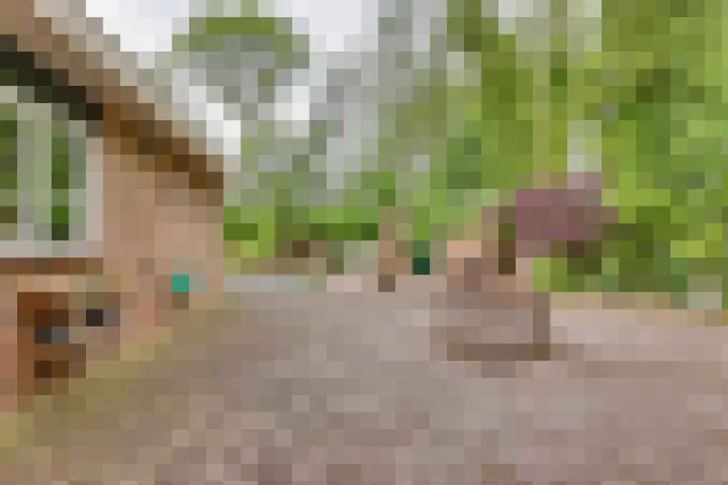 het Bivank 31 Nieuw Heeten thumbnail 33