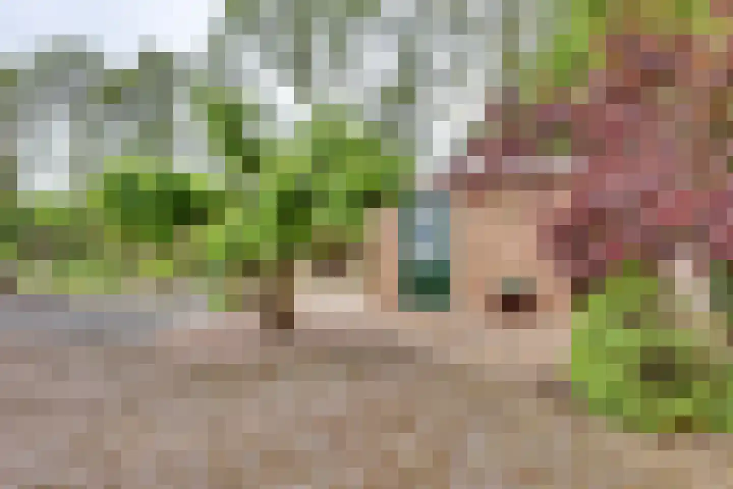 het Bivank 31 Nieuw Heeten thumbnail 35