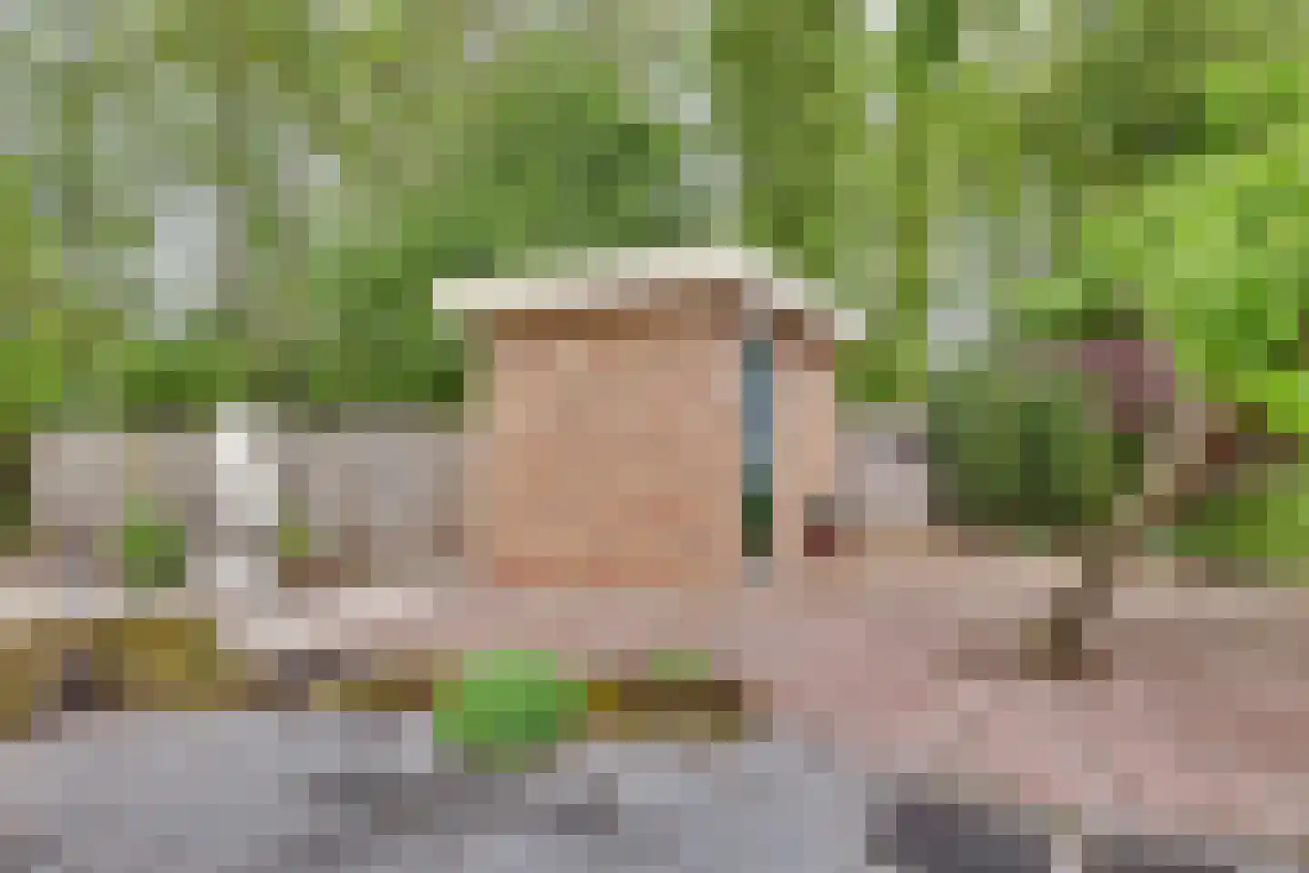 het Bivank 31 Nieuw Heeten thumbnail 36