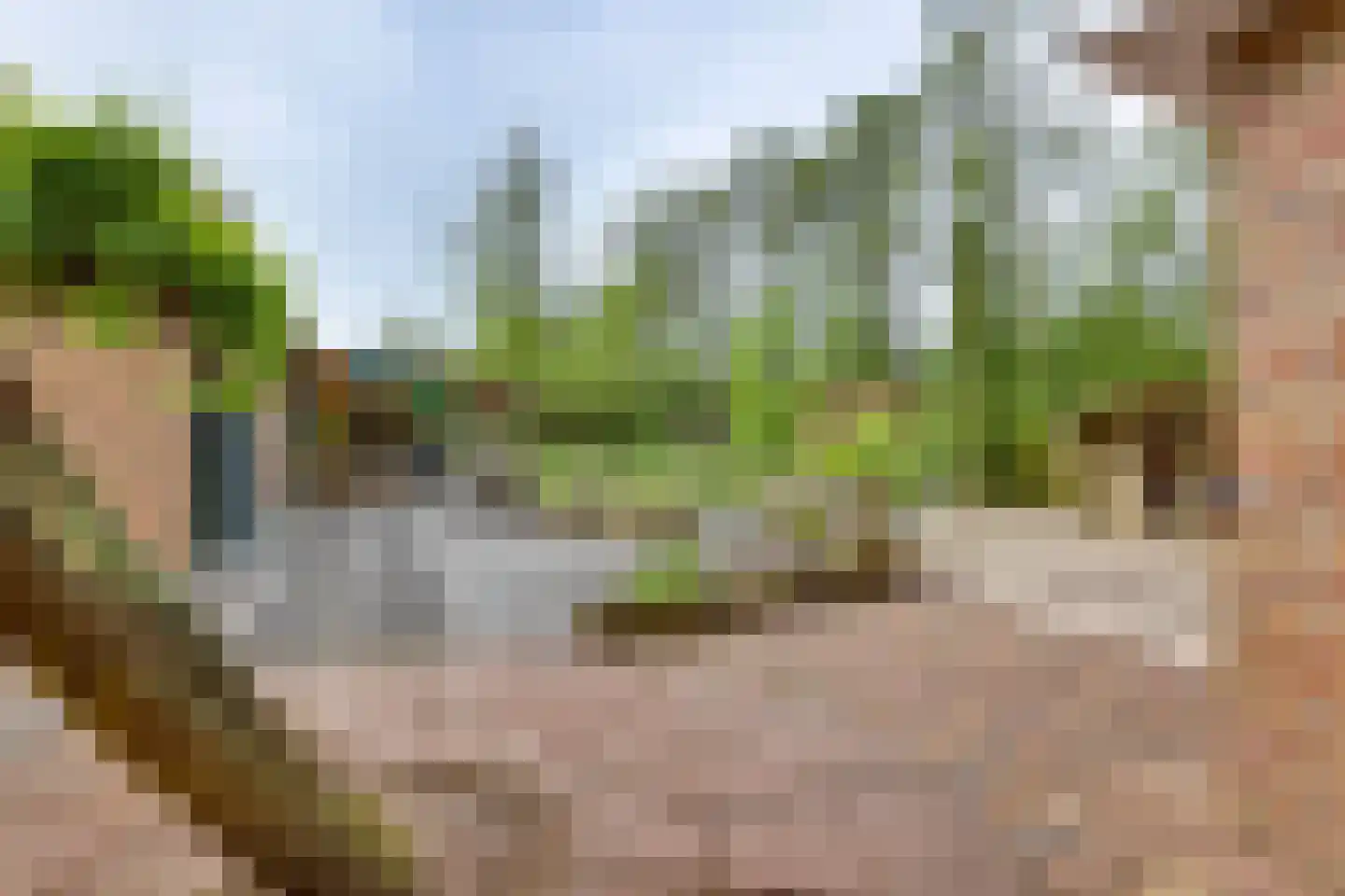 het Bivank 31 Nieuw Heeten thumbnail 39