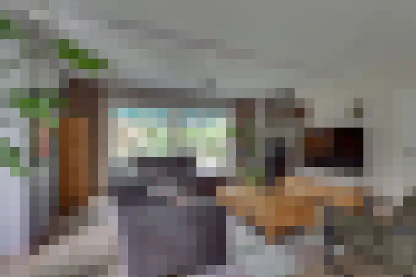 het Bivank 31 Nieuw Heeten thumbnail 4