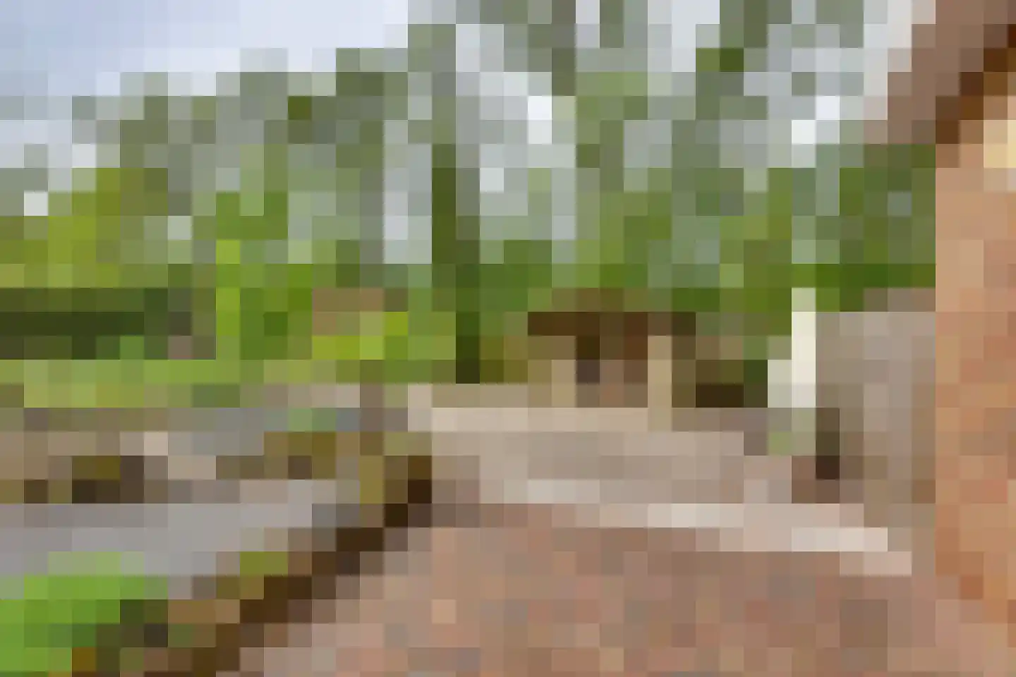 het Bivank 31 Nieuw Heeten thumbnail 40