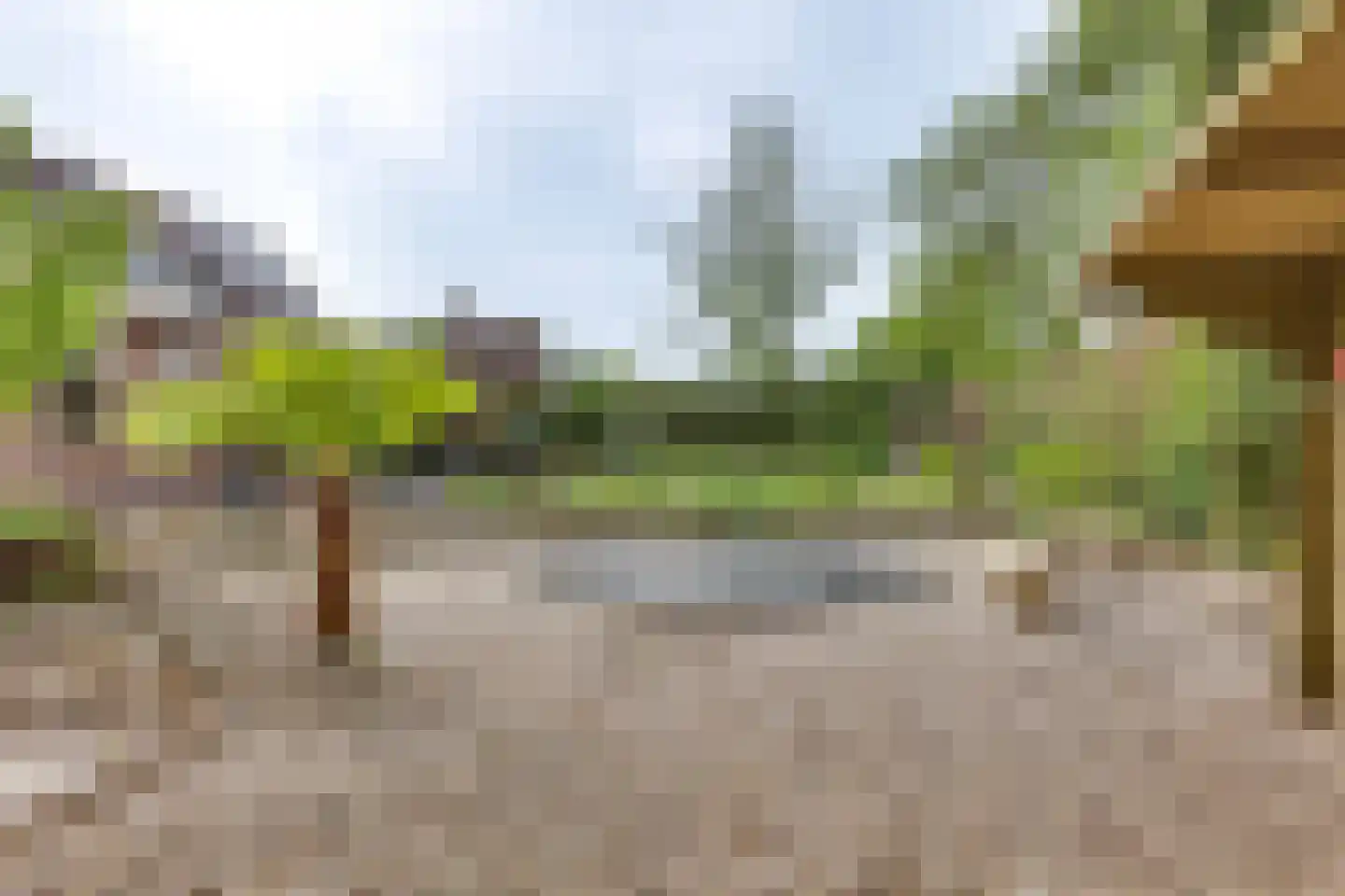 het Bivank 31 Nieuw Heeten thumbnail 41