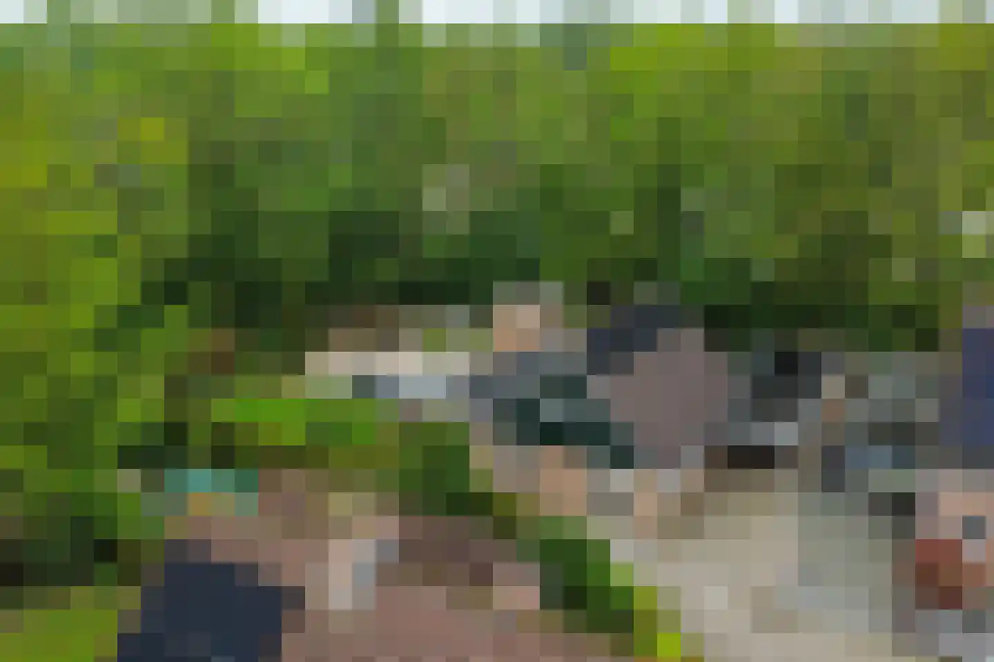 het Bivank 31 Nieuw Heeten thumbnail 47