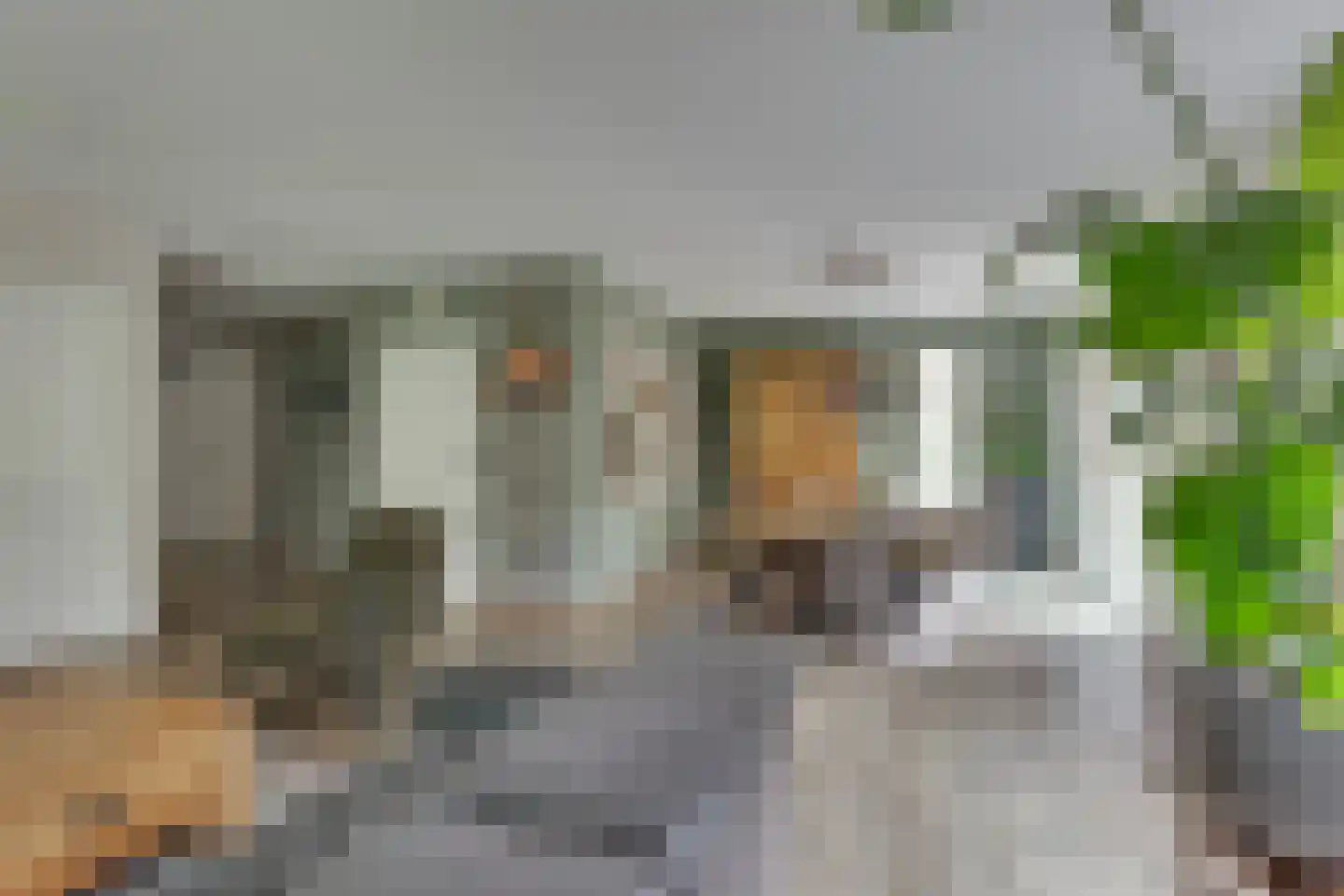 het Bivank 31 Nieuw Heeten thumbnail 6