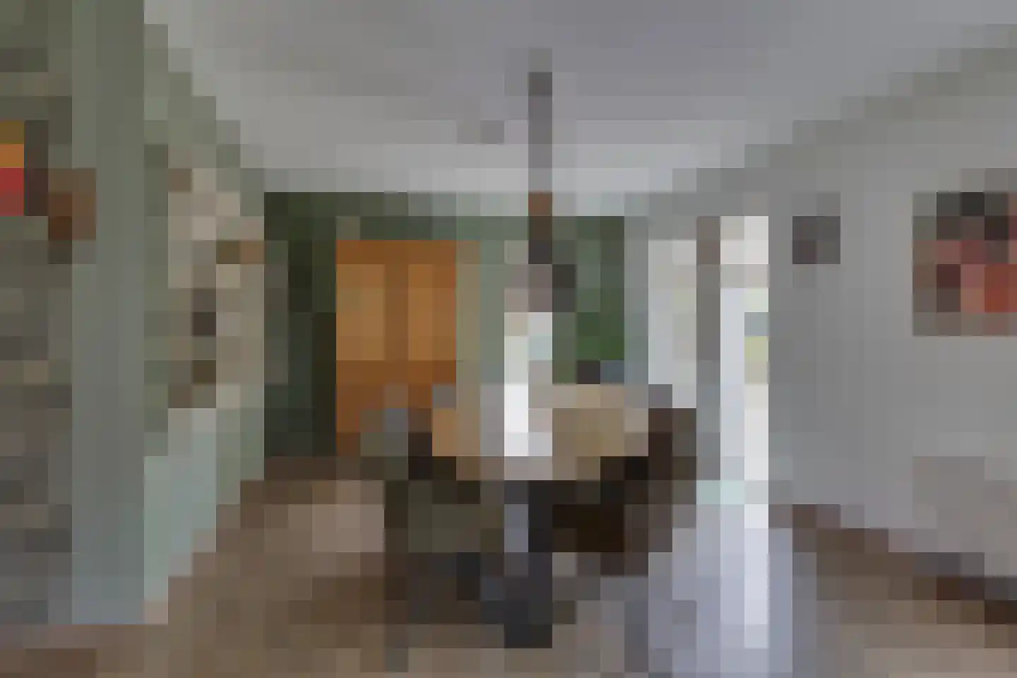 het Bivank 31 Nieuw Heeten thumbnail 7