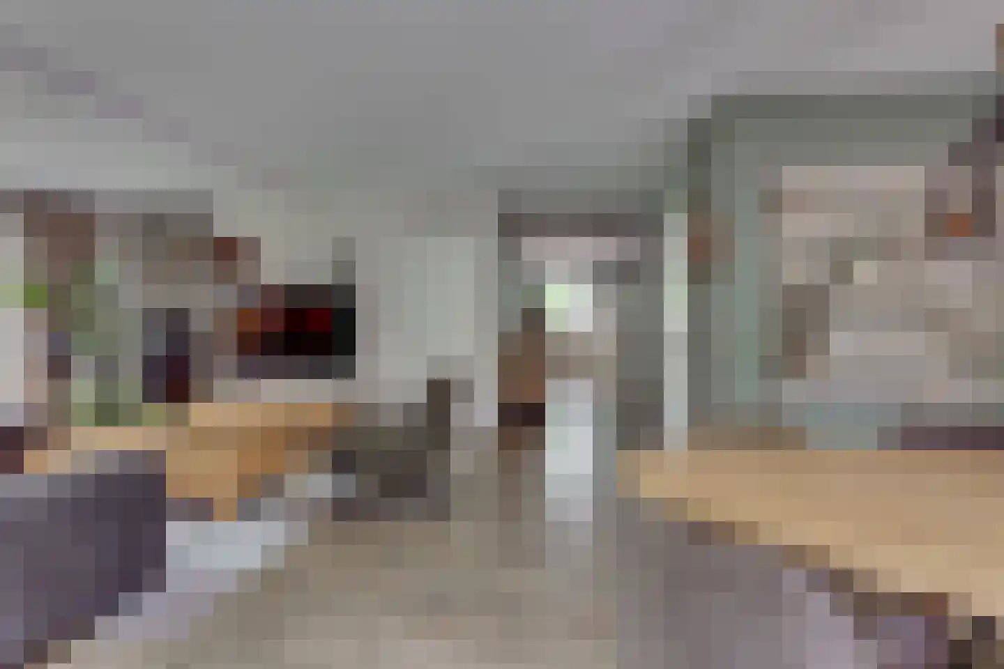 het Bivank 31 Nieuw Heeten thumbnail 8