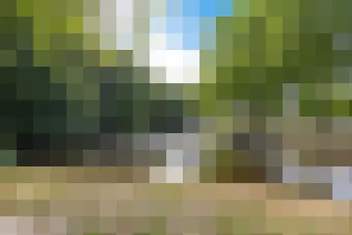 Het Blauwgras 21 a Drachten thumbnail 35