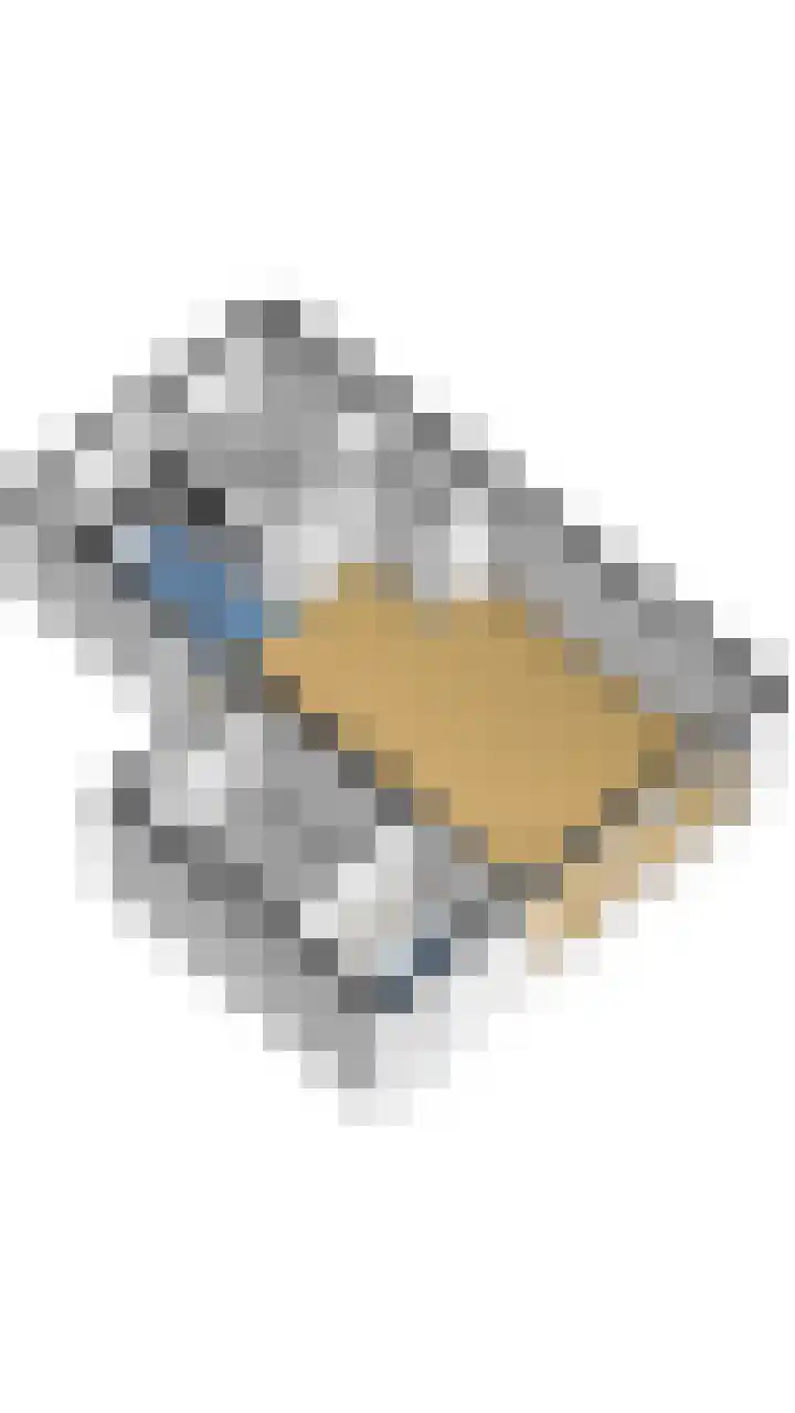 Het Blauwgras 21 a Drachten thumbnail 5