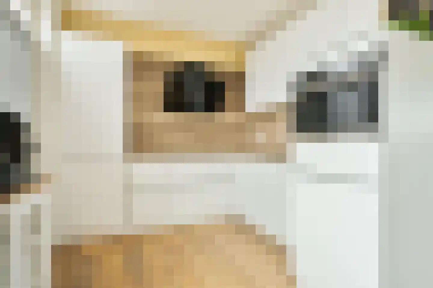 Het Blazoen 18 Swifterbant thumbnail 12