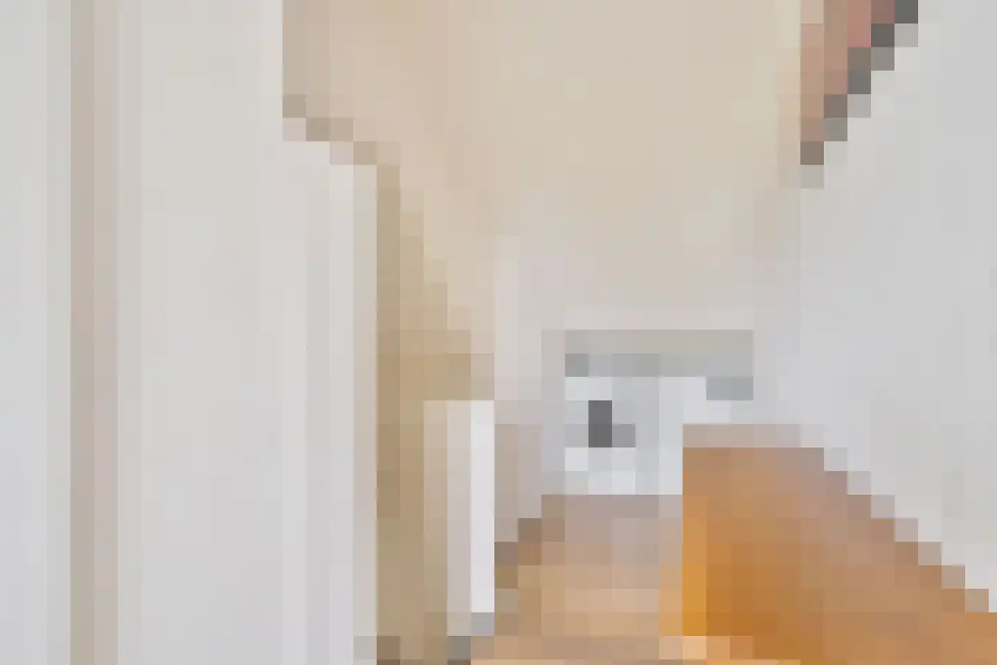 Het Blazoen 18 Swifterbant thumbnail 21
