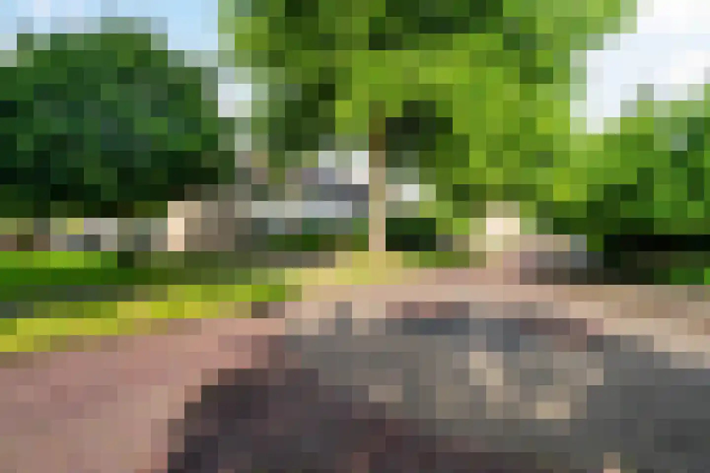 Het Blazoen 18 Swifterbant thumbnail 6