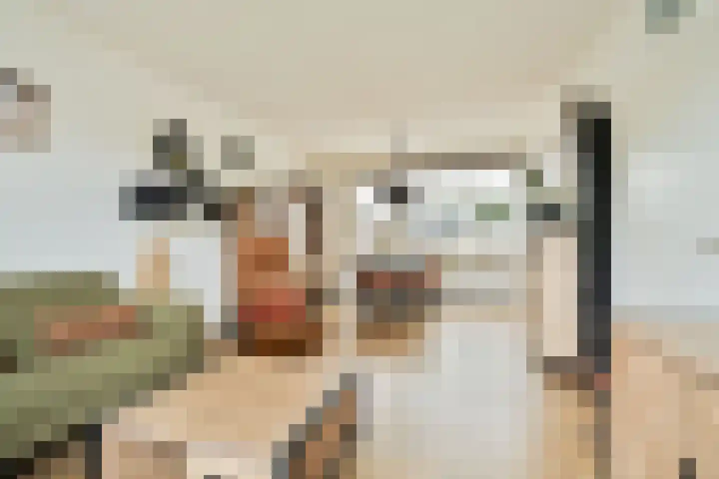 Het Blazoen 18 Swifterbant thumbnail 9