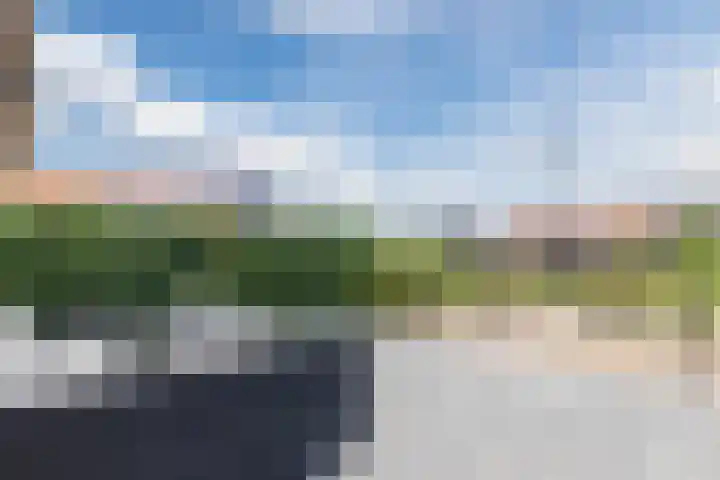 Het Blazoen 38 Heerhugowaard thumbnail 33