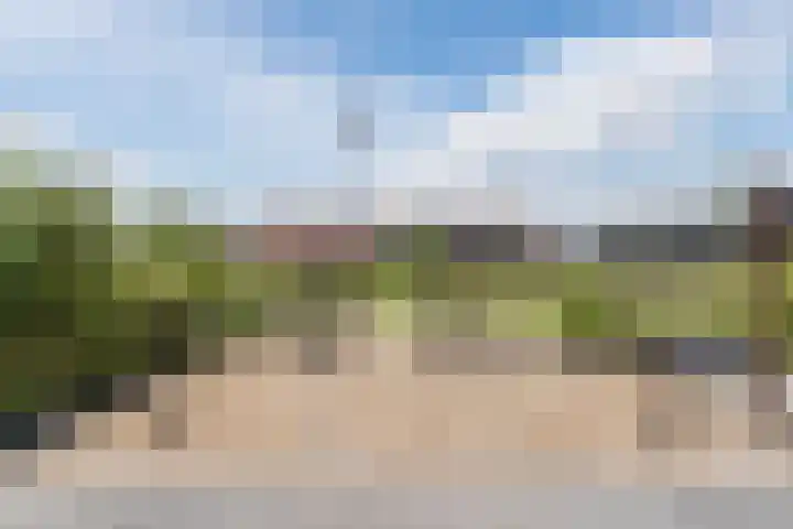 Het Blazoen 38 Heerhugowaard thumbnail 34