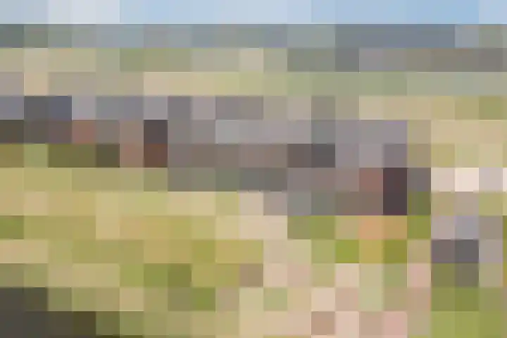 Het Blazoen 38 Heerhugowaard thumbnail 47