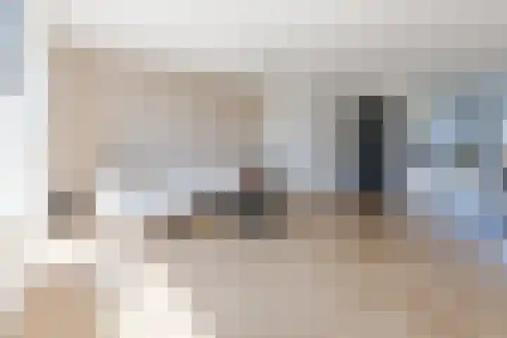 Het Blazoen 38 Heerhugowaard thumbnail 5