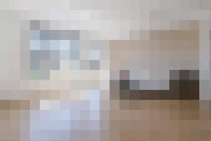 Het Blazoen 38 Heerhugowaard thumbnail 8