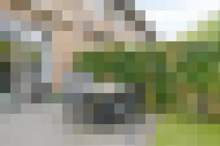 Het Blazoen 44 Rosmalen thumbnail 25