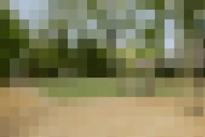 Het Blazoen 44 Rosmalen thumbnail 33
