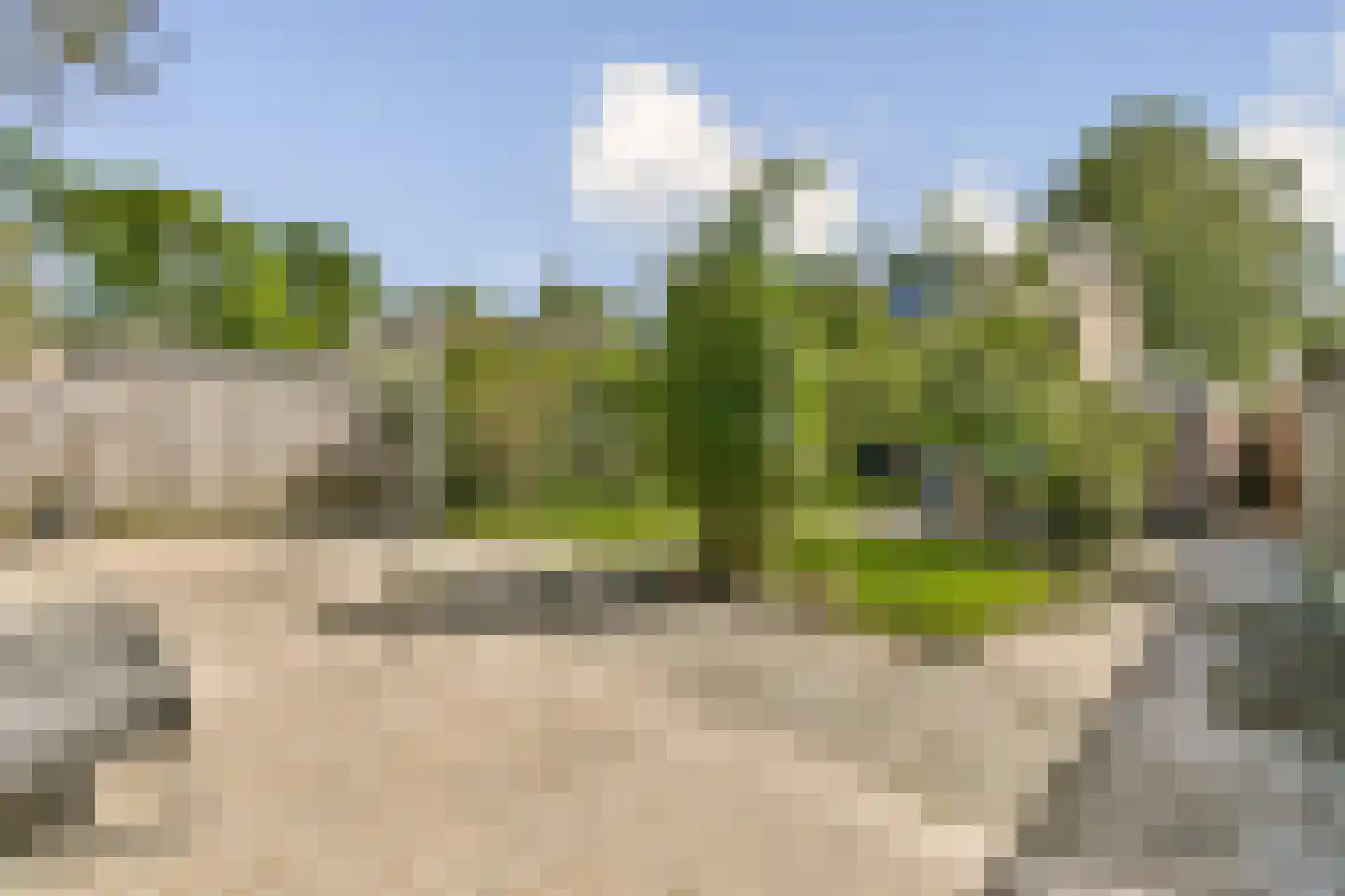 Het Blazoen 57 Swifterbant thumbnail 11