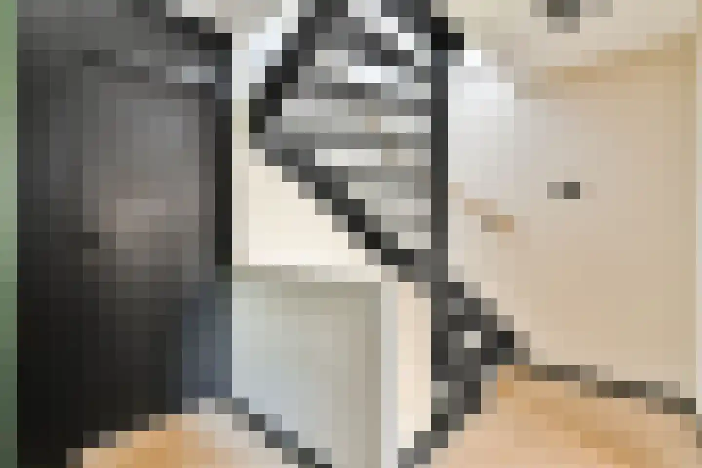 Het Blazoen 57 Swifterbant thumbnail 15