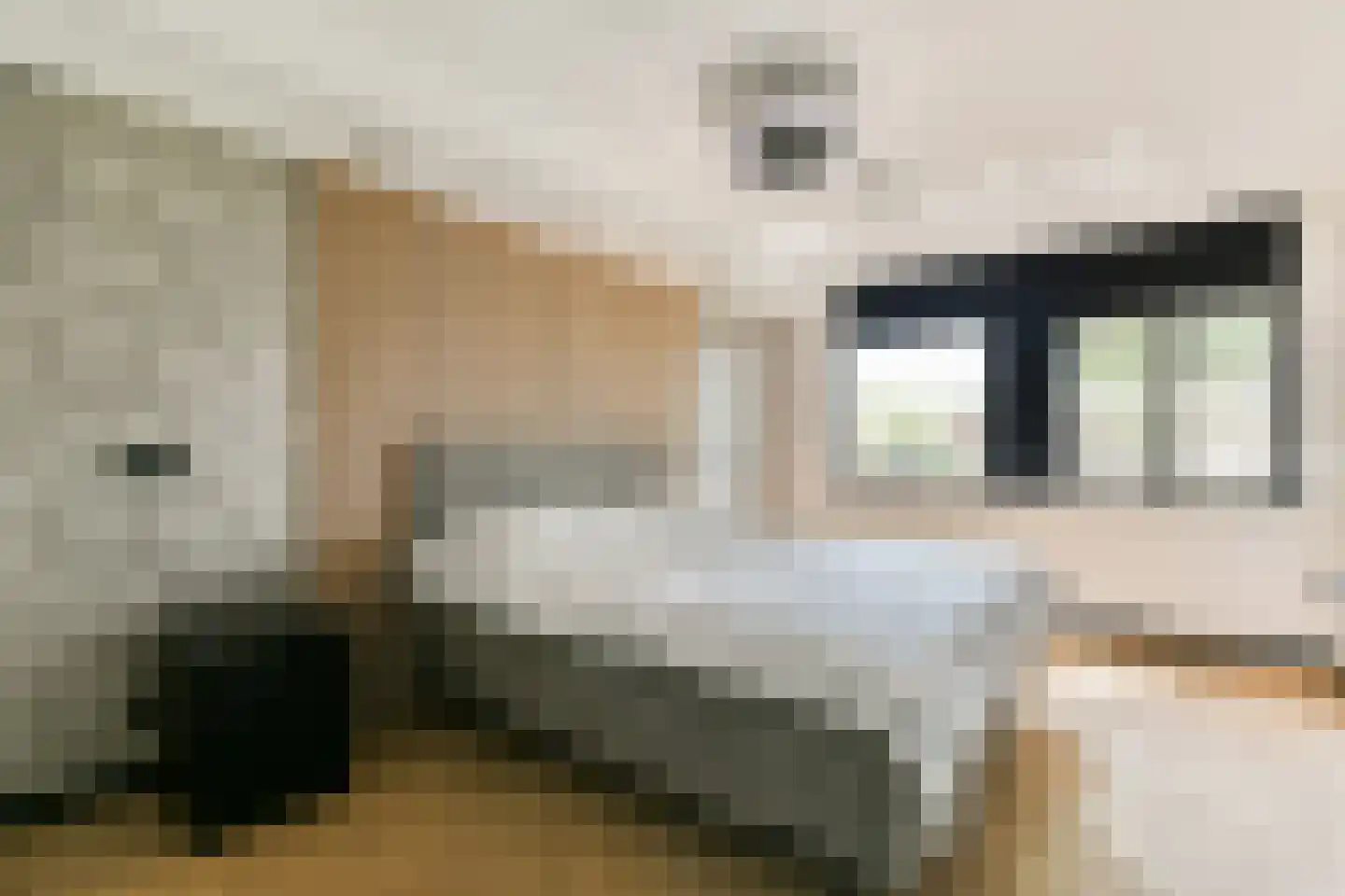 Het Blazoen 57 Swifterbant thumbnail 16