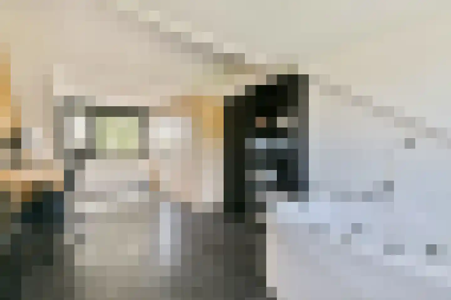 Het Blazoen 57 Swifterbant thumbnail 27
