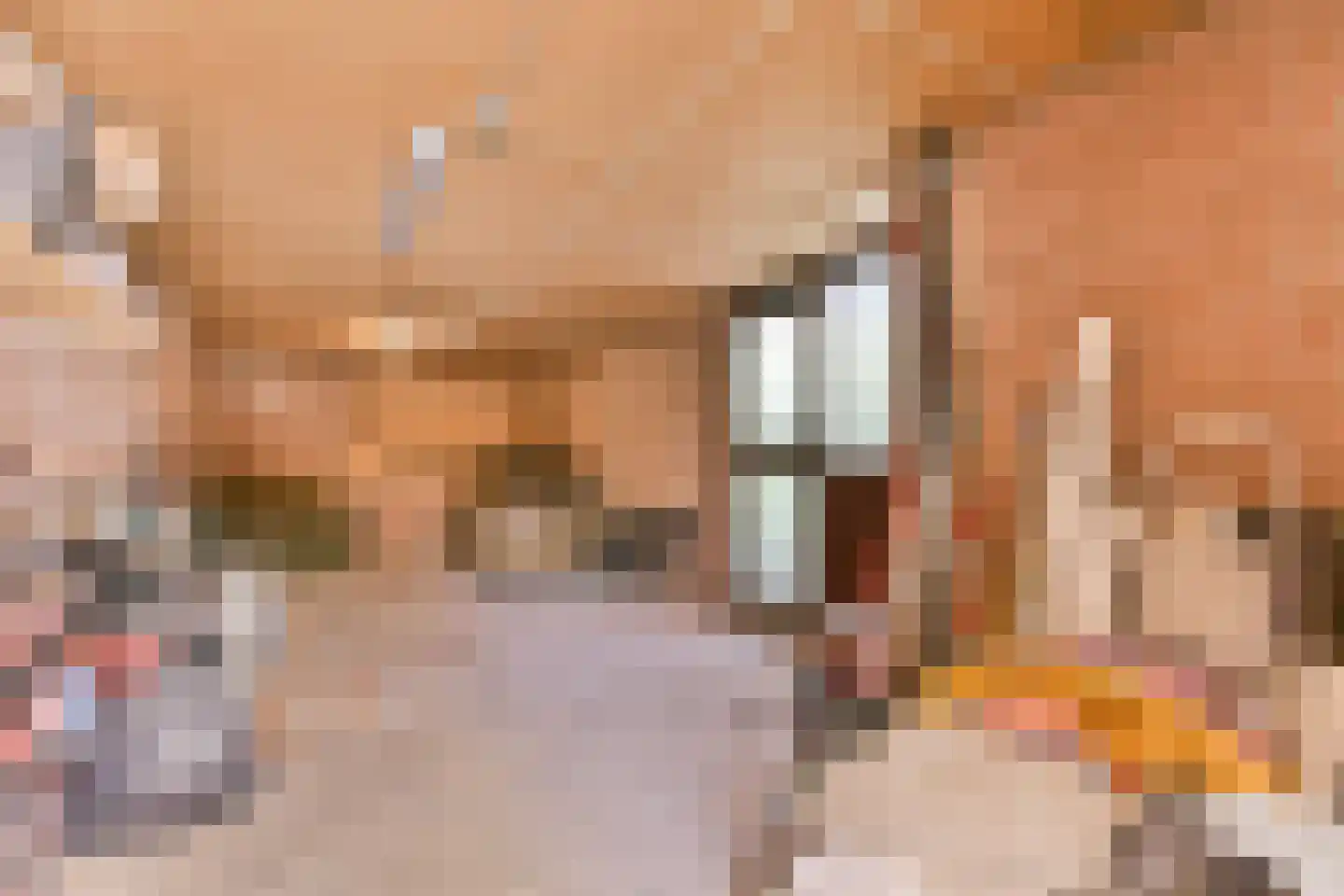 Het Blazoen 57 Swifterbant thumbnail 30
