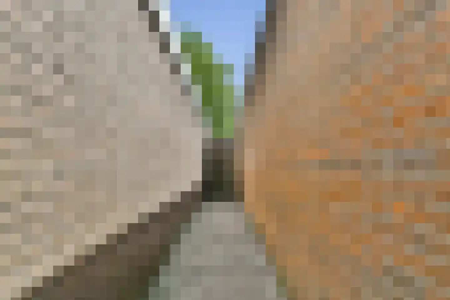 Het Blazoen 57 Swifterbant thumbnail 31