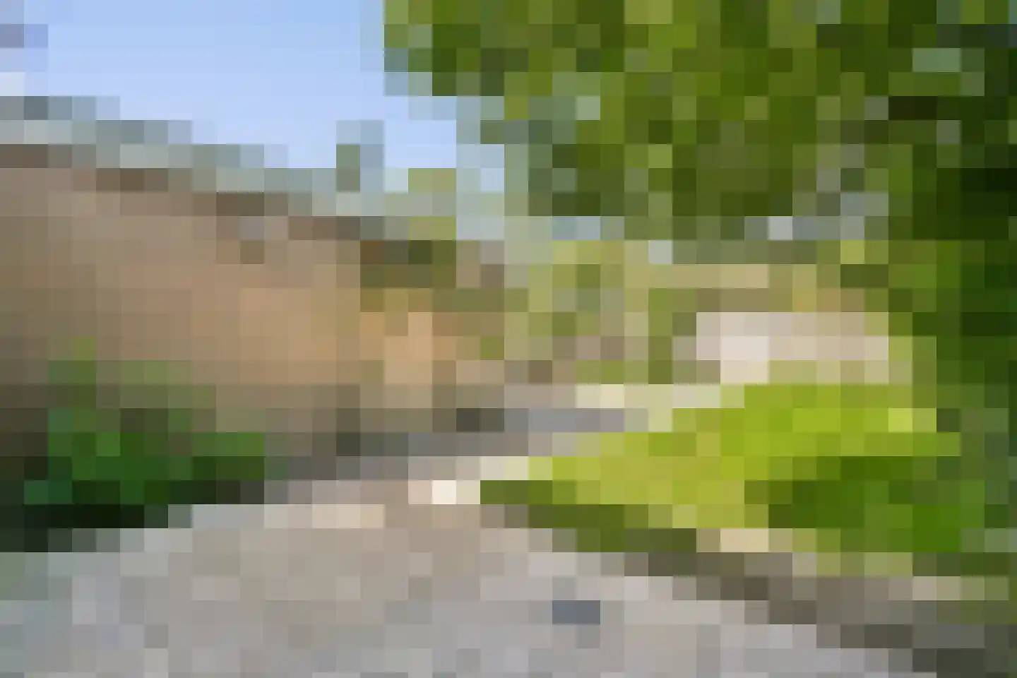 Het Blazoen 57 Swifterbant thumbnail 9
