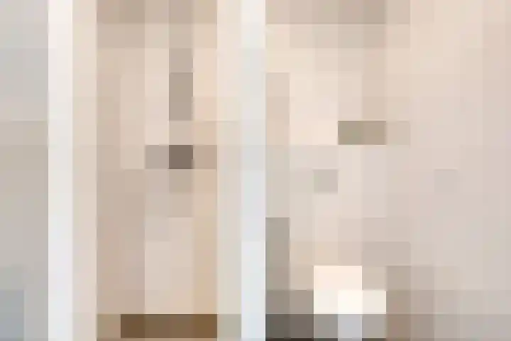 Het Blazoen 6 Rosmalen thumbnail 34