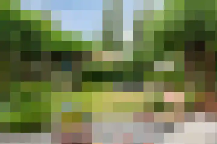 Het Blazoen 6 Rosmalen thumbnail 37