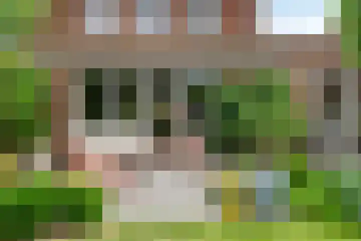 Het Blazoen 6 Rosmalen thumbnail 40
