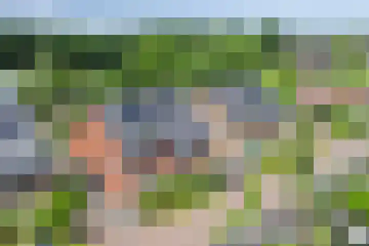 Het Blazoen 6 Rosmalen thumbnail 42