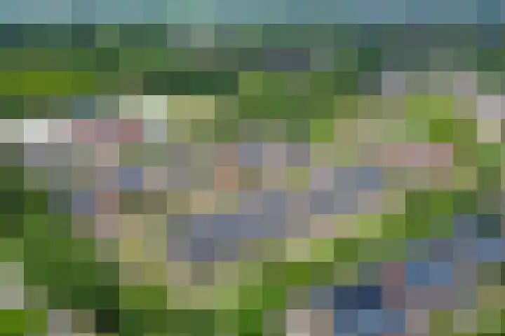Het Blazoen 6 Rosmalen thumbnail 45