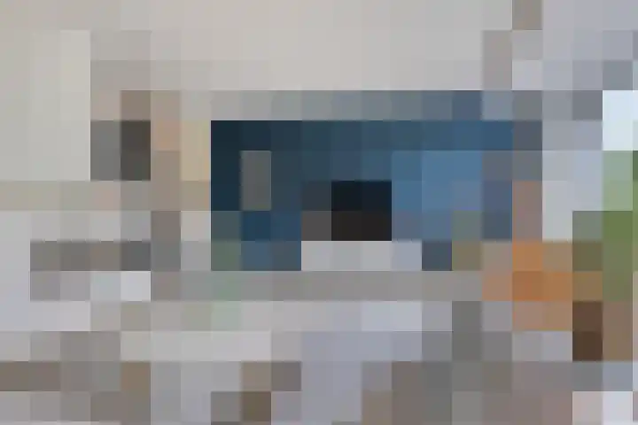 Het Blazoen 6 Rosmalen thumbnail 5