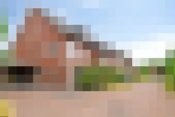 Het Blazoen 6 Rosmalen thumbnail 51