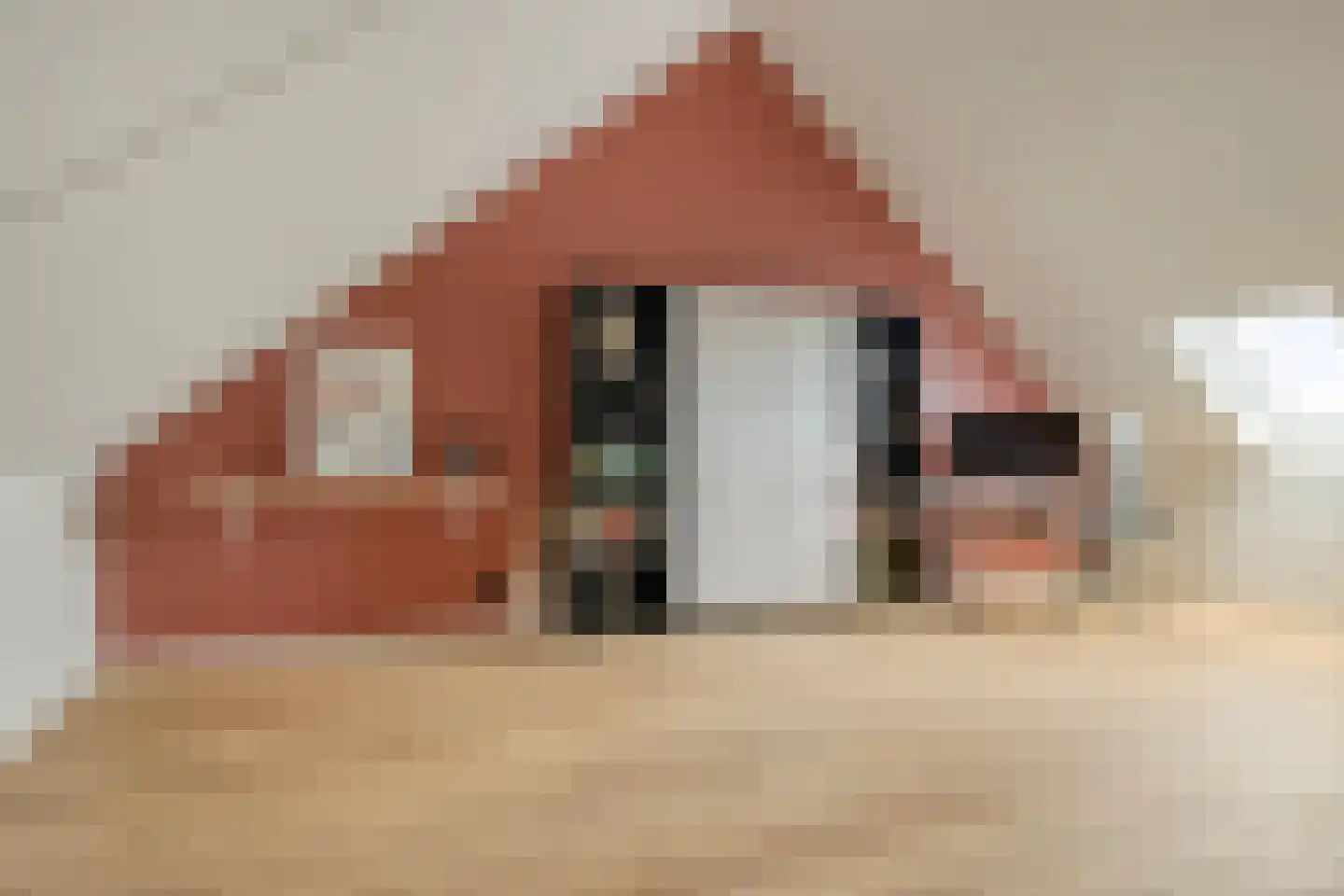 Het Blazoen 8 Heerhugowaard thumbnail 23