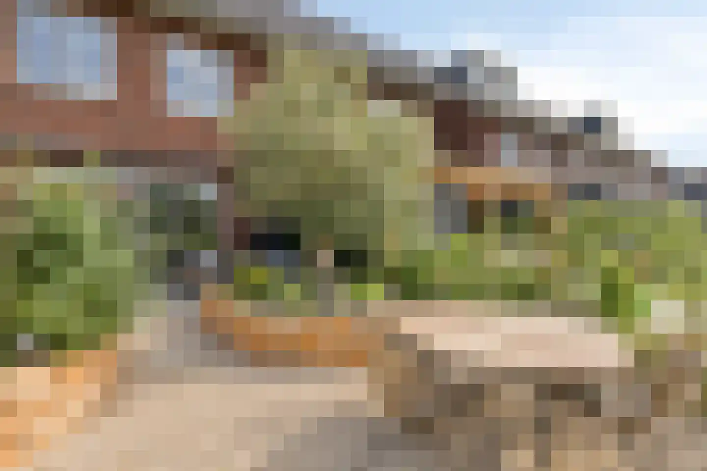Het Blazoen 8 Heerhugowaard thumbnail 25
