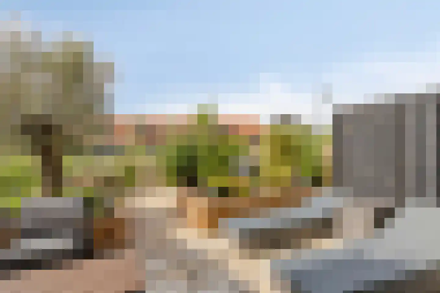 Het Blazoen 8 Heerhugowaard thumbnail 28