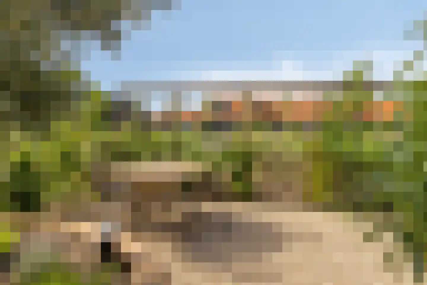 Het Blazoen 8 Heerhugowaard thumbnail 29