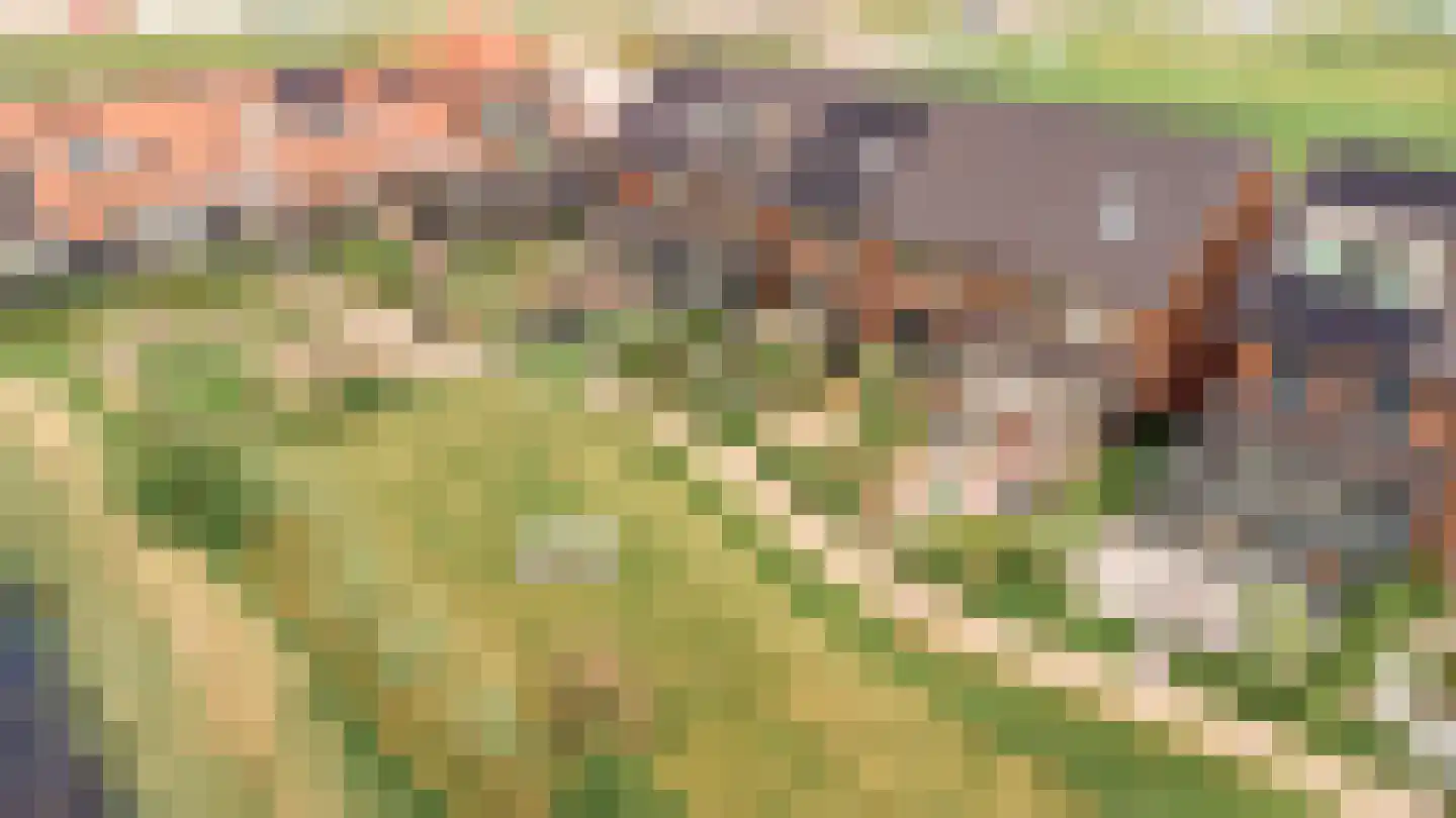 Het Blazoen 8 Heerhugowaard thumbnail 31