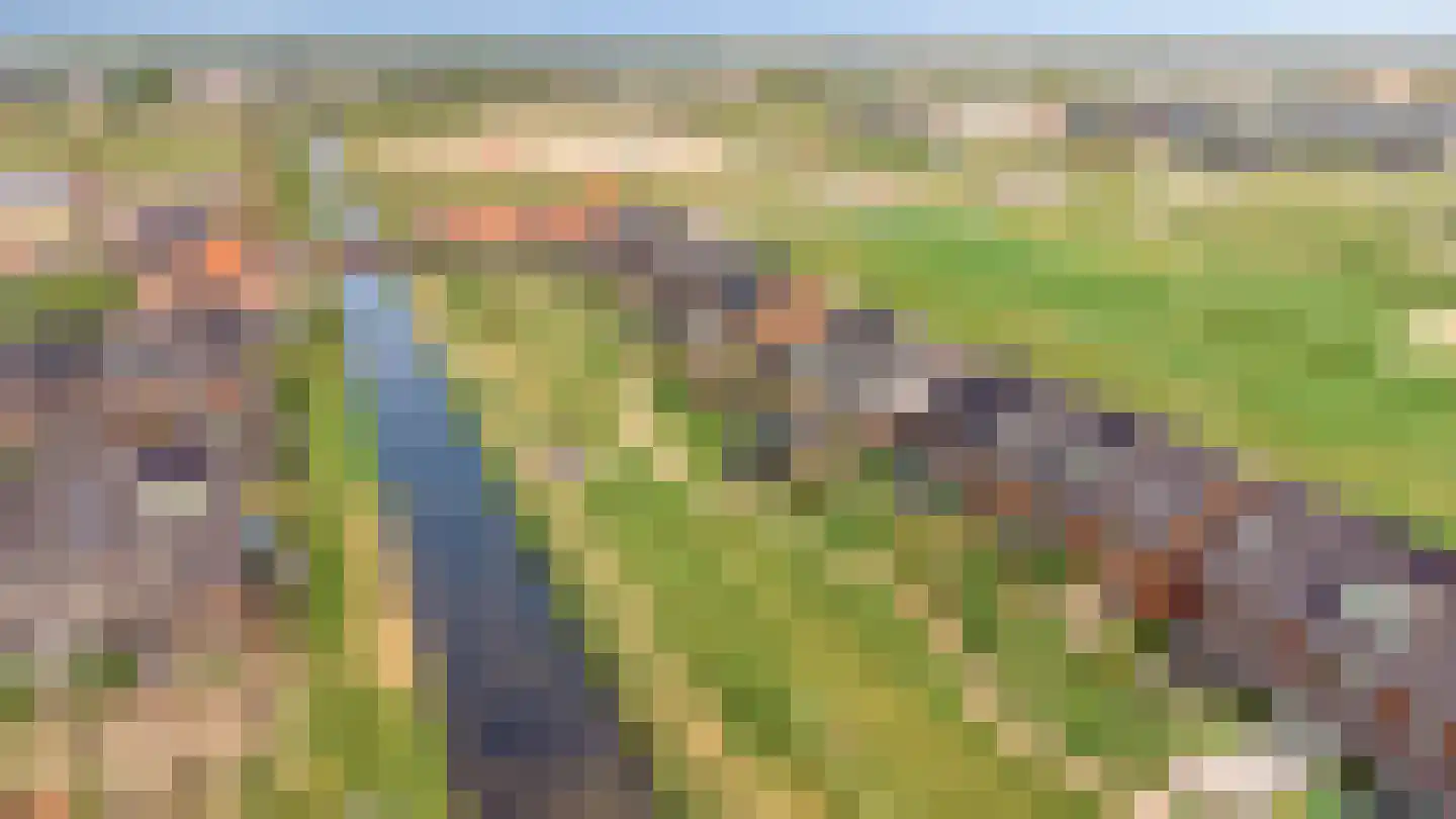 Het Blazoen 8 Heerhugowaard thumbnail 32