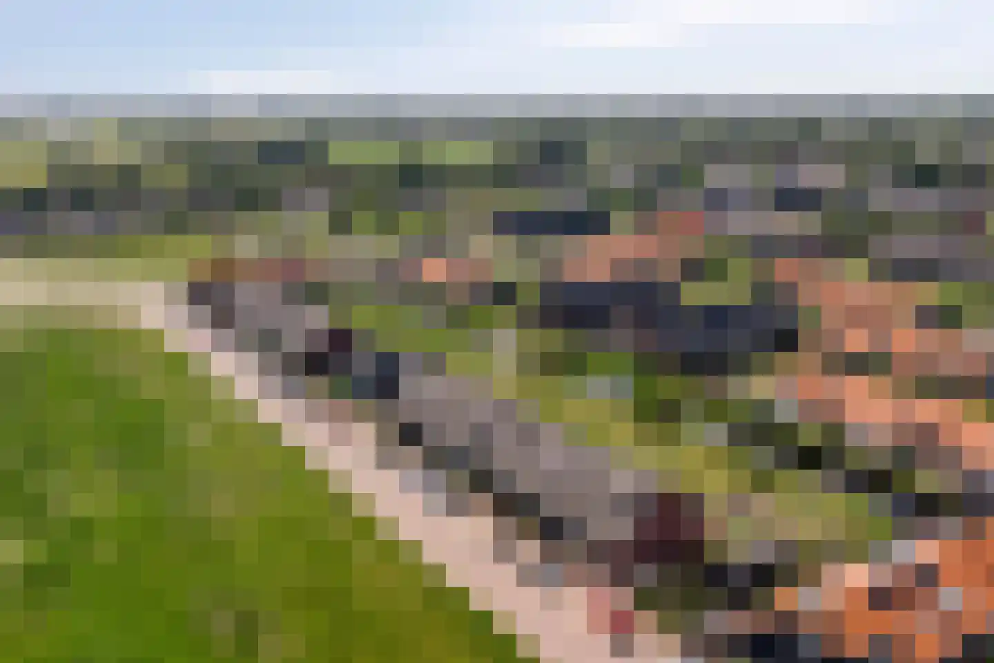 Het Blazoen 8 Heerhugowaard thumbnail 34
