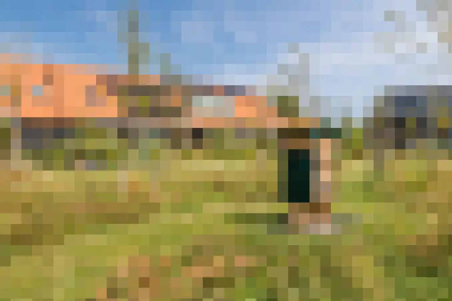 Het Blazoen 8 Heerhugowaard thumbnail 40