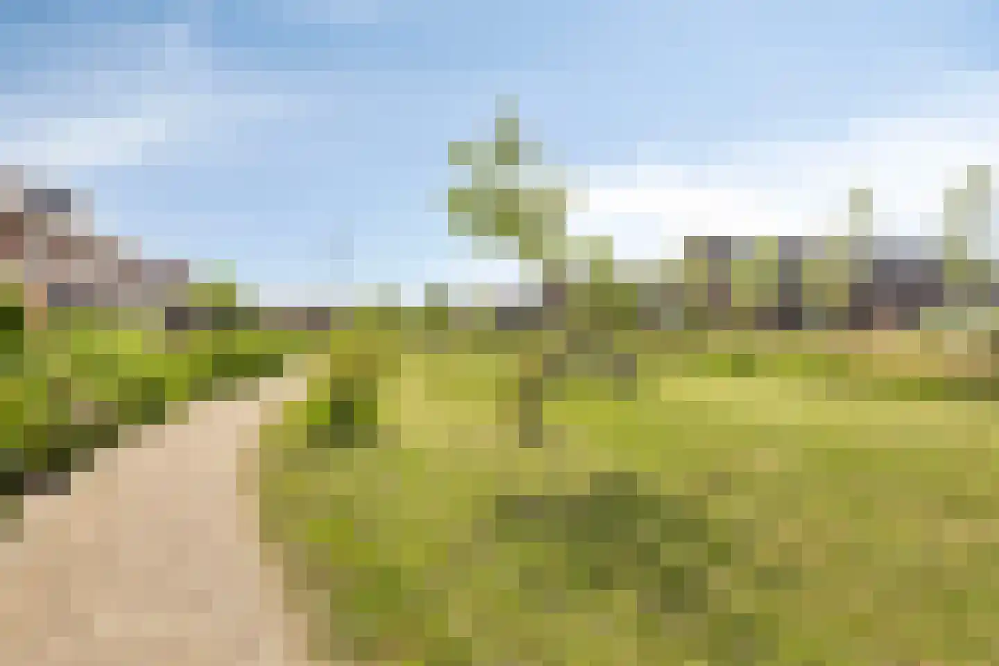 Het Blazoen 8 Heerhugowaard thumbnail 46